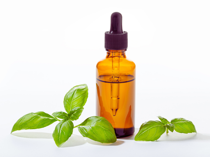 Organic oil bottle with fresh herbs – natural hair treatment for scalp balance and healthy shine